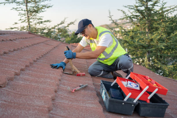 Trusted Park Forest, IL Roofing Experts